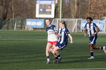 Bild 439 - wBJ Hamburger SV - Hertha BSC : Ergebnis: 2:1